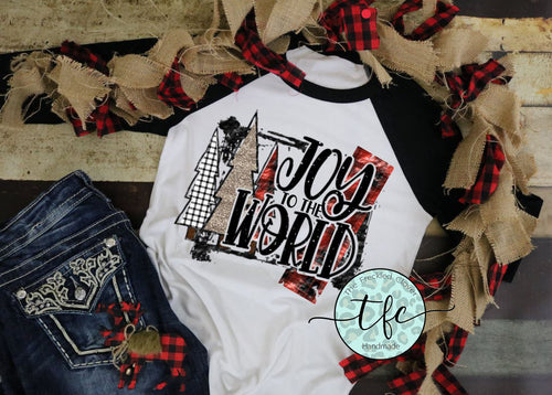 {Joy to the World} screen print raglan