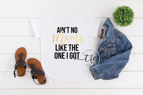 {Ain't No Mama Like The One I Got}